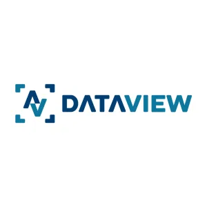 logo ontwerp voor DataView
