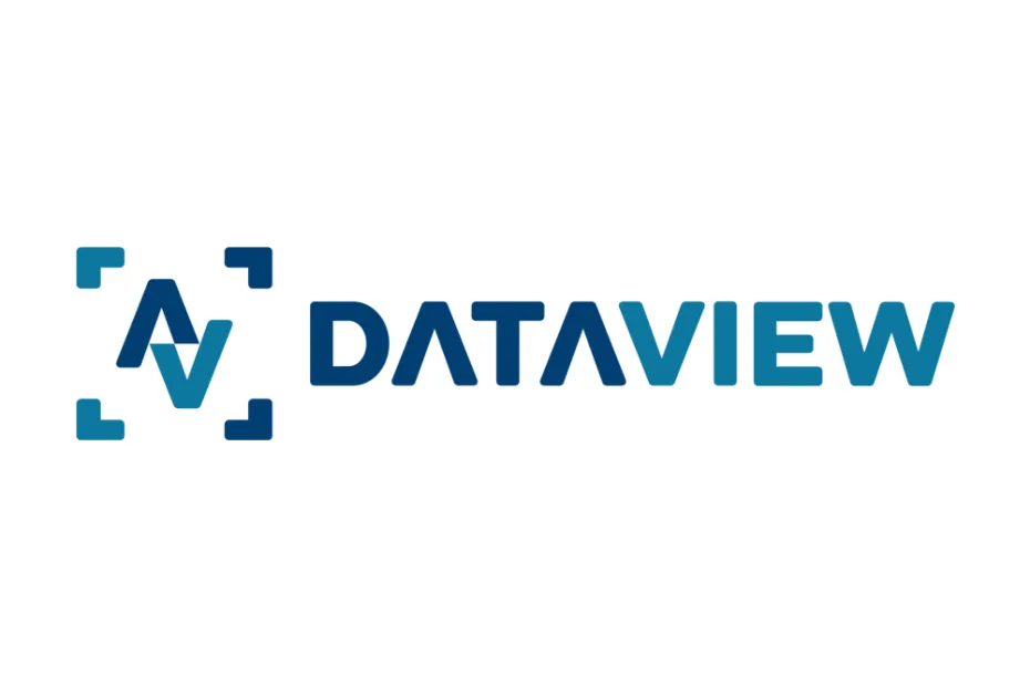 logo ontwerp voor DataView