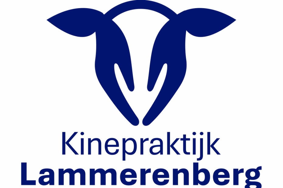 logo ontwerp fysiotherapie handen massage